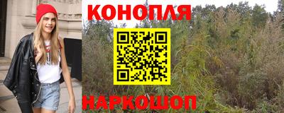 прущие крисы Кунгур