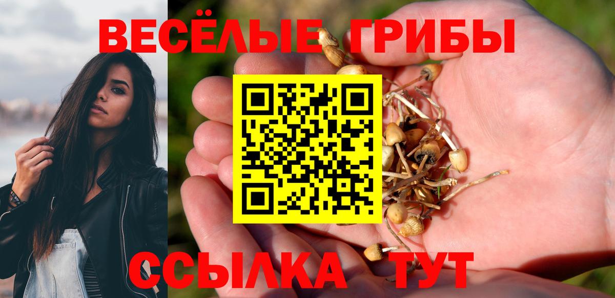 Дивногорск  Галлюциногенные грибы Cubensis  Вход с VPN 